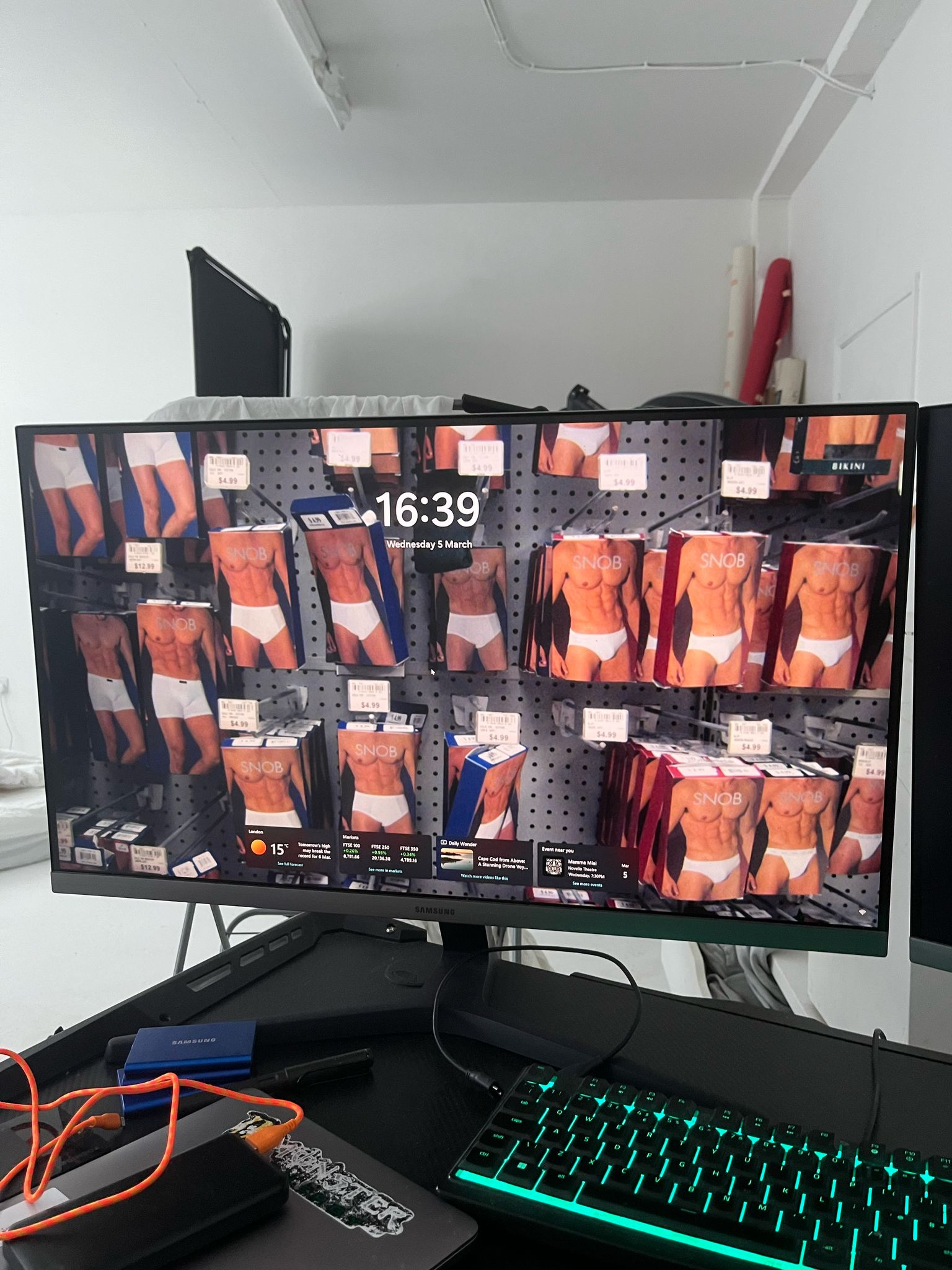 describe the image